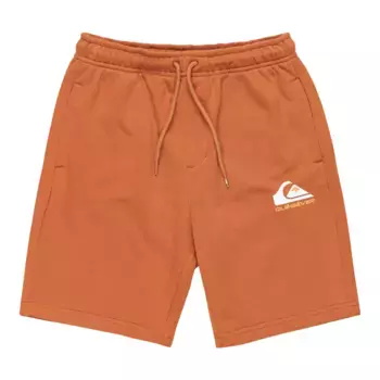 Шорты для мальчиков Quiksilver Easy Day, коричневый