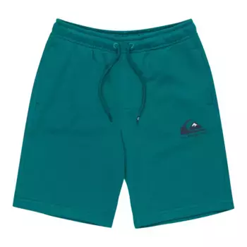Шорты для мальчиков Quiksilver Easy Day, синий
