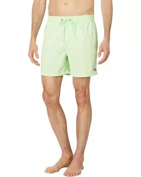 Шорты для плавания Billabong All Day Layback 16", цвет Pistachio