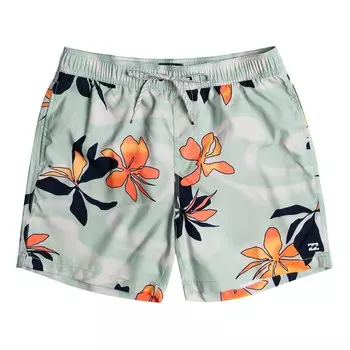 Шорты для плавания Billabong Vacay Swimming Shorts, Разноцветный