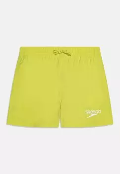 Шорты для плавания BOYS ESSENTIALS WATERSHORT Speedo, цвет bitter lime