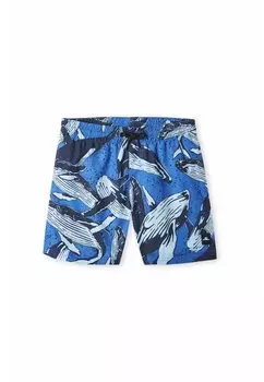 Шорты для плавания CALI PRINT O'Neill, цвет blue whales