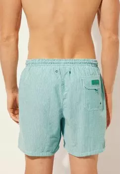 Шорты для плавания Calzedonia, зеленый