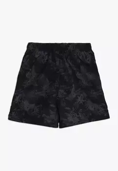 Шорты для плавания Chiemsee, черный