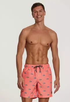 Шорты для плавания Clownfish Shiwi, цвет neon orange