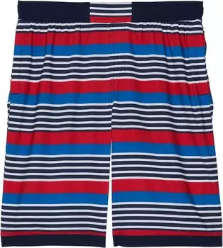 Шорты для плавания Columbia Sandy ShoresBoardshorts, цвет Collegiate Navy Milo Stripe