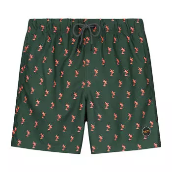 шорты для плавания для мальчиков короткие shiwi palm micro peach, оливково-зеленый