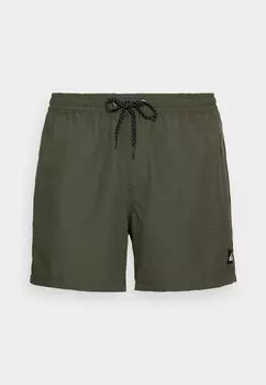 Шорты для плавания EVERYDAY DELUXE VOLLEY Quiksilver, тимьяновый вереск