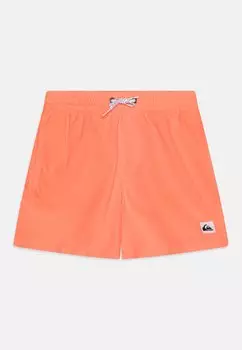 Шорты для плавания EVERYDAY SOLID VOLLEY Quiksilver, цвет coral