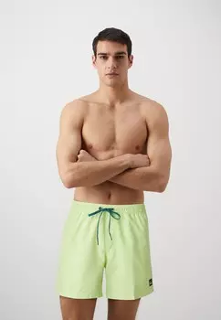 Шорты для плавания EVERYDAY SOLID VOLLEY Quiksilver, зеленый