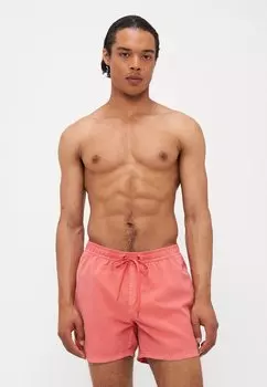 Шорты для плавания EVERYDAY SURFWASH VOLLEY Quiksilver, красный