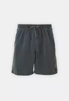 Шорты для плавания EVERYDAY SURFWASH VOLLEY Quiksilver, черный