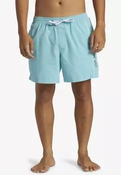 Шорты для плавания EVERYDAY VERT VOLLEY 16 Quiksilver, цвет bha