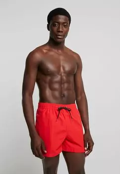 Шорты для плавания EVERYDAY VOLLEY 15 Quiksilver, красный с высоким риском