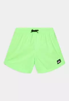 Шорты для плавания EVERYDAY VOLLEY YOUTH Quiksilver, цвет green gecko