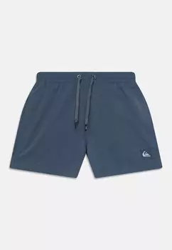 Шорты для плавания EVERYDAY VOLLEY YOUTH Quiksilver, цвет bering sea