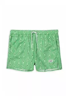 Шорты для плавания FLAMINGO Frank Dandy, зеленый