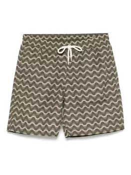 Шорты для плавания Frescobol Carioca Santos, зеленый