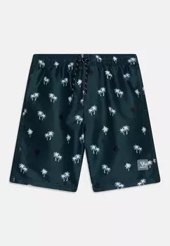 Шорты для плавания Hestey Boys Brunotti, зеленый