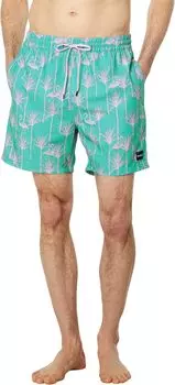 Шорты для плавания Hurley Cannonball 17" Volley, цвет Seadoo