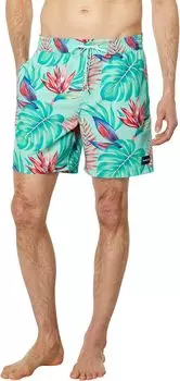 Шорты для плавания Hurley Cannonball 17" Volley, цвет Tropical Mist