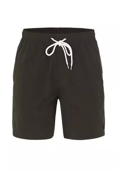 Шорты для плавания Jimmy Sanders Board Shorts, хаки