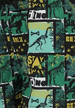 Шорты для плавания JOSEPH ZIGZAG, зеленый