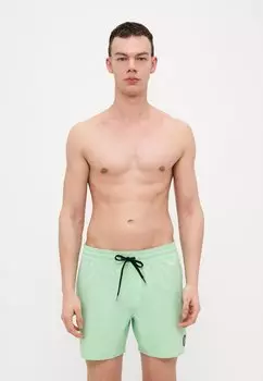 Шорты для плавания LIDO SOLID TRUNK Volcom, светло-зеленый