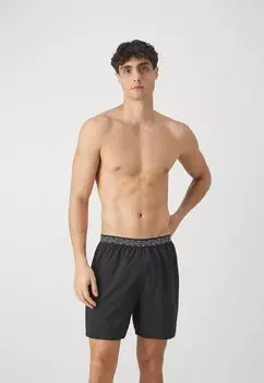 Шорты для плавания Mens Hyperboom Band Watershort Speedo, черный