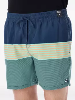 Шорты для плавания на весь день Billabong, синий