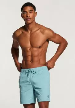 Шорты для плавания NICK Shiwi, цвет cameo blue