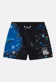 Шорты для плавания NIKO BOARDIES Molo, цвет plankton