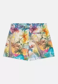 Шорты для плавания Niko Boardies Molo, разноцветные