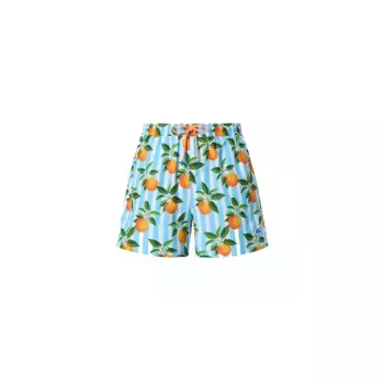 Шорты для плавания North Sails Allover Volley, синий