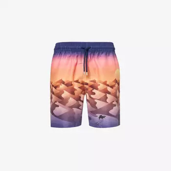 Шорты для плавания O'ahu с графичным принтом Derek Rose, мультиколор