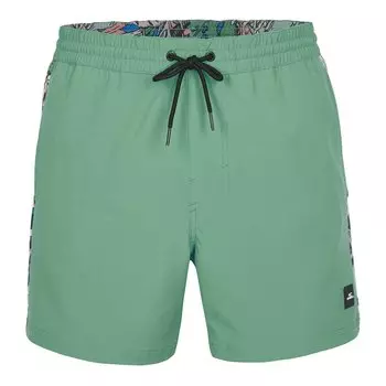 Шорты для плавания Oneill Coast Ocean 15, зеленый