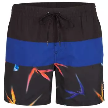 Шорты для плавания Oneill Frame Block Swimming Shorts, синий