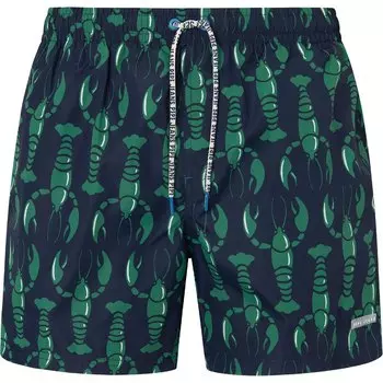 Шорты для плавания Pepe Jeans Lobster, зеленый