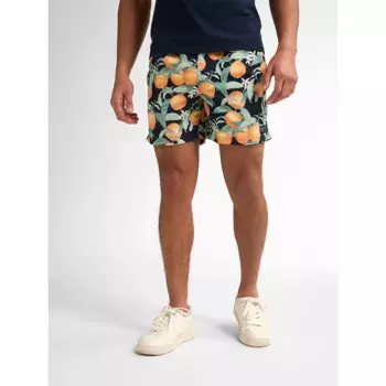 Шорты для плавания Petrol Industries M-1050-SWS961, черный