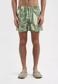Шорты для плавания PLANTS HANG ELEVEN, зеленый