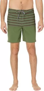Шорты для плавания Prana On The Rocks Boardshorts, цвет Green Stripe