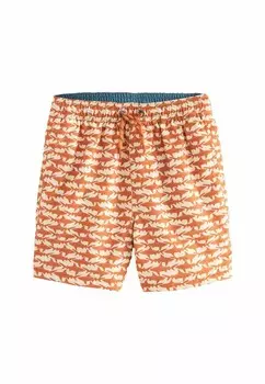 Шорты для плавания PRINTED REGULAR FIT Next, коричневый