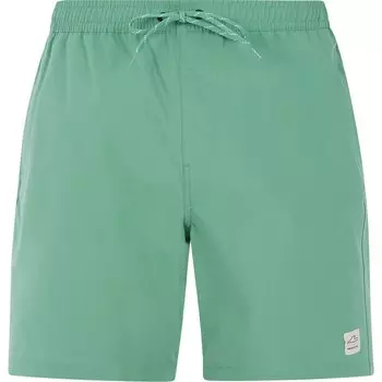 Шорты для плавания Protest Baky Swimming Shorts, зеленый