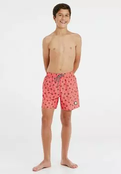 Шорты для плавания Protest, цвет new coralpink