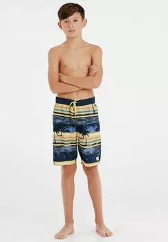 Шорты для плавания Protest, цвет night skyblue