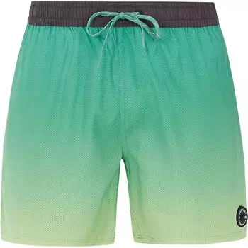 Шорты для плавания Protest Erin Swimming Shorts, зеленый