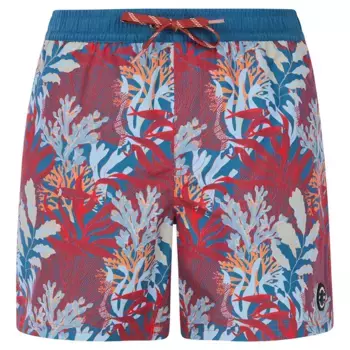 Шорты для плавания Protest Eton, синий