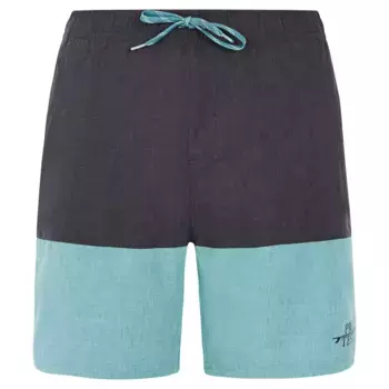 Шорты для плавания Protest Freddie, серый