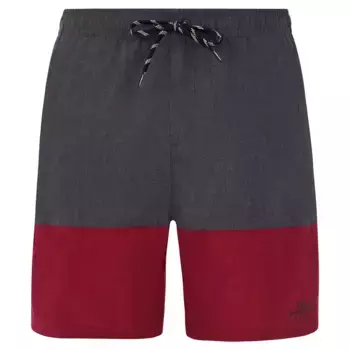 Шорты для плавания Protest Freddie, серый