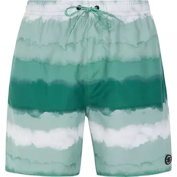 Шорты для плавания Protest Hamsey Swimming Shorts, зеленый